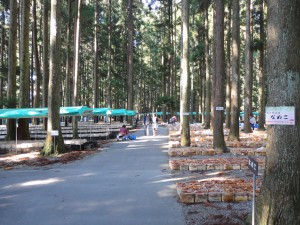 DSC03700