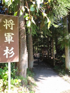 DSC03735