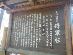 DSC03737