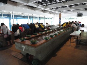 DSC04993
