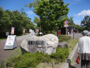 DSC05050