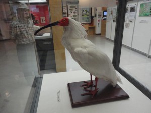 DSC05059